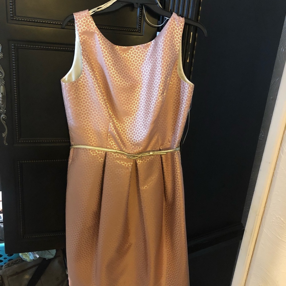 Eliza J New York Size 10 Dress, NWT